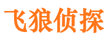 大同市调查公司